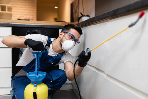Best Mosquito Control Services  in Morgantown, WV