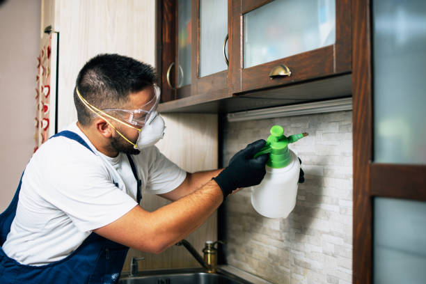 Best Affordable Exterminators  in Morgantown, WV