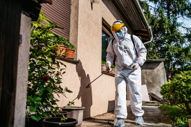 Professional Pest Control in Morgantown, WV