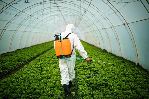 Best Pest Inspection Near Me  in Morgantown, WV
