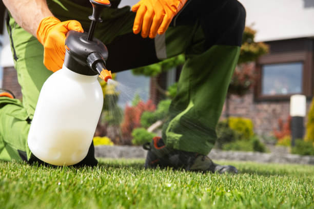 Reliable Morgantown, WV Pest Control Solutions