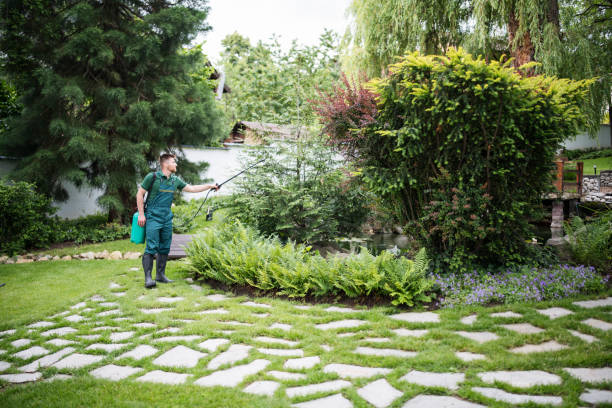 Best Mosquito Control Services  in Morgantown, WV