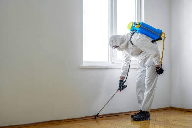 Best Pest Control Treatment  in Morgantown, WV