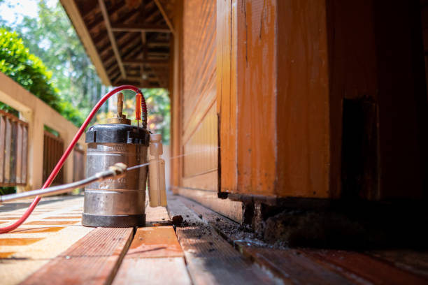 Best Ant Control Services  in Morgantown, WV