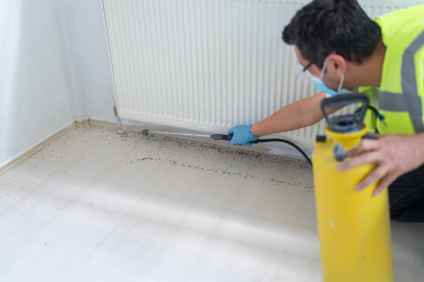 Best Residential Pest Control  in Morgantown, WV